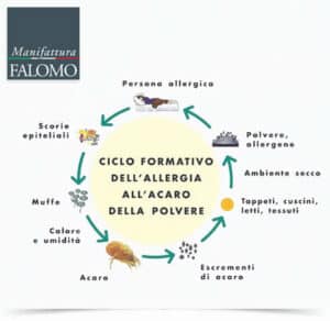 Blatte morte in casa, risultato del trattamento efficace contro gli acari