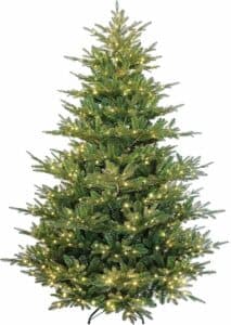 Un pino che si staglia su uno sfondo di rocce, circondato da una luce soffusa e decorazioni natalizie un momento di festa che si rinnova ogni anno, per ricordarci che nella vita niente è più importante della luce dellalbero di Natale