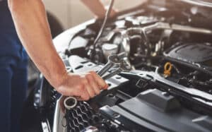 Specialisti in disinfestazioni al lavoro su una costa, eliminando parassiti nellambito di un programma di manutenzione