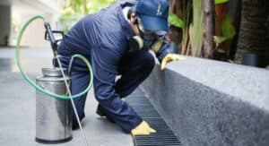 Derattizzazione in Italia un confronto dei prezzi tra i vari servizi di derattizzazione disponibili