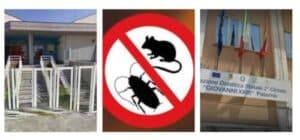 Derattizzazione nelle scuole disinfestazione e controllo dei roditori per un ambiente sicuro e pulito