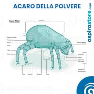 Professionista che svolge servizio di disinfestazione da scarafaggi