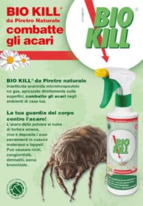Immagine che mostra un preventivo di disinfestazione scarafaggi per comprendere i costi, in relazione a un articolo sulla problematica degli acari in casa