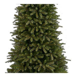 L'albero di Natale è un simbolo di festa e tradizione Con la sua silhouette di conifere come l'abete rosso e il pino, decorata da agrifoglio e altre decorazioni natalizie, l'albero di Natale è una parte importante del festival annuale