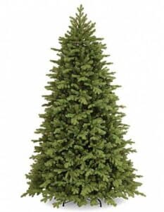 Un albero di Natale, una pianta di cedro, un albero conifera, un abete bianco, un pino, un cedro un albero di Natale delizioso e accogliente, che porta con sé la magia del Natale
