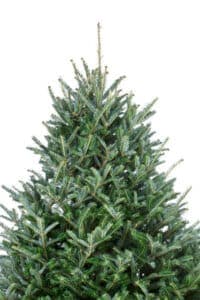 Questa foto mostra un simbolico albero di Natale, un pino o abete, ornato con le classiche decorazioni natalizie luci e ghirlande Il festival di Natale è unoccasione di festa, allegria e condivisione