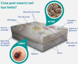 Flacone di insetticida per blatte su uno sfondo bianco, correlato allarticolo sul costo della disinfestazione da acari