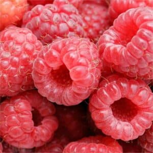 Questa immagine ritrae una bacca di lampone, un alimento salutare e nutriente prodotto da una pianta Il frutto è di un bel color rosa ed è accompagnato da un fiore bianco, la cui forma ricorda quella di una rosa Una deliziosa icona che rappresenta la bellezza e la generosità della natura