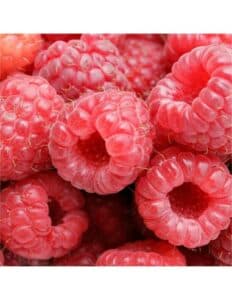Questa immagine mostra un lampone, una bacca appartenente alla famiglia delle verdure, che è anche un frutto e un prodotto alimentare Il lampone è una pianta molto diffusa, apprezzata per il suo gusto dolce e delicato