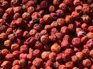 Una prugna salata giapponese, un cibo vegetale unico che viene prodotto da una pianta dai sapori diversi Una prelibata frutta secca e una verdura accompagnata da una deliziosa nota salata