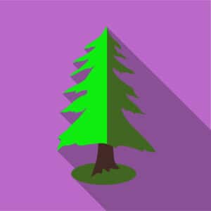 Una persona sotto un baldacchino di cipresso verde e viola, con le foglie di SunFoglia che si muovono al calore del sole Un albero che porta benessere e armonia