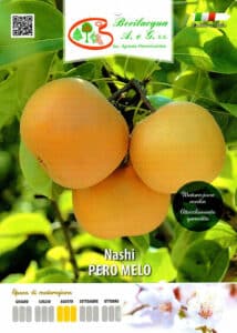 Questa immagine mostra una varietà di pomacee giapponesi un grapefruit, unarancia e frutta citrus con un codice QR sopra La foto rappresenta anche un disco da hockey su ghiaccio, simbolo del cibo e dei prodotti che possono essere acquistati utilizzando il codice QR