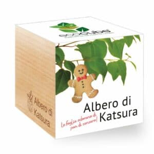 Una scatola magica piena di deliziosi cibi albero di foglie doro, dolci e biscotti di pan di zenzero, erbe aromatiche e cestini di orsacchiotti Un sogno per i golosi!