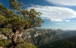 Una vista mozzafiato sulla catena montuosa delle Alpi, con ginepri rossi che spiccano contro la vegetazione lussureggiante e i boschi di alberi che circondano un picco Uno spettacolo della natura allaperto che non può essere dimenticato