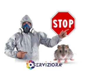 Veritas Master esaminare i segni di uninfestazione di roditori per decidere se è necessario un intervento di derattizzazione