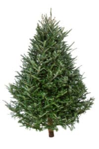 Un albero di Natale impreziosito da decorazioni natalizie e piante di pino e abete per celebrare al meglio il festival più amato dellanno!