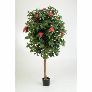 Un giardino che fiorisce damore Una pianta in vaso ricoperta di rose che si arrampica su un albero Vasi da fiori dipinti a mano in ceramica, con foglie che si muovono al vento Tutto circondato da uno splendido giardino