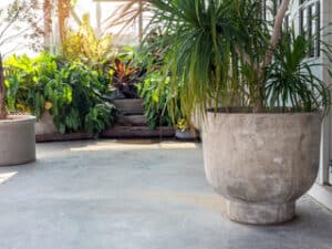 vasi in giardino pavimentato